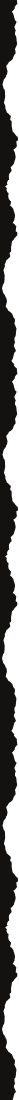 shap-02.png